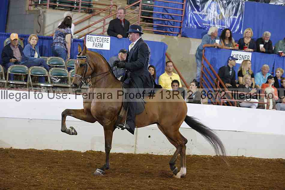 Proof Number 13r12_8672