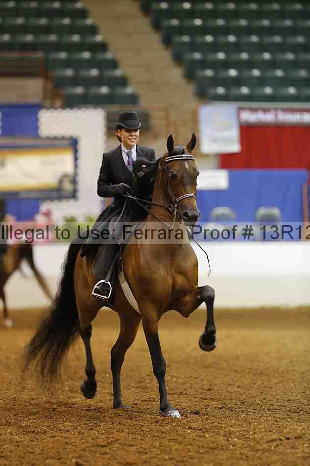 Proof Number 13r12_8673