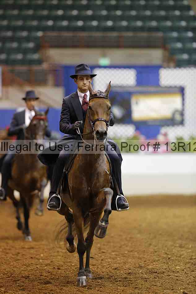 Proof Number 13r12_8676