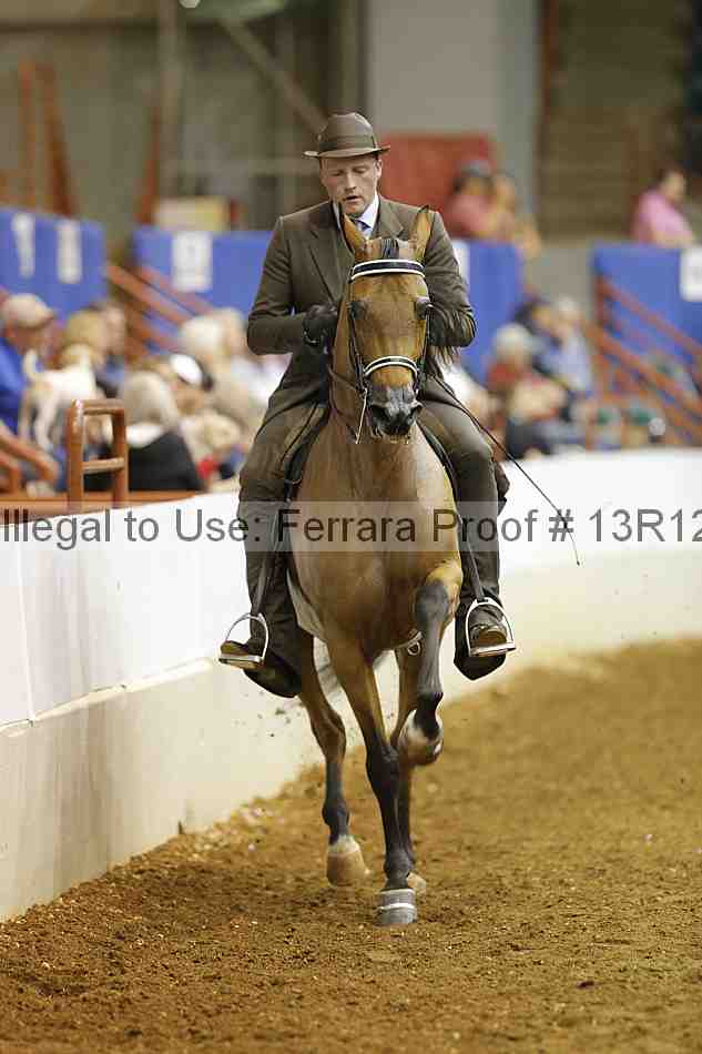 Proof Number 13r12_8678