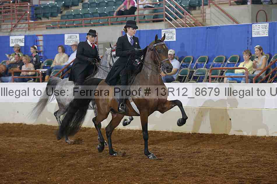 Proof Number 13r12_8679