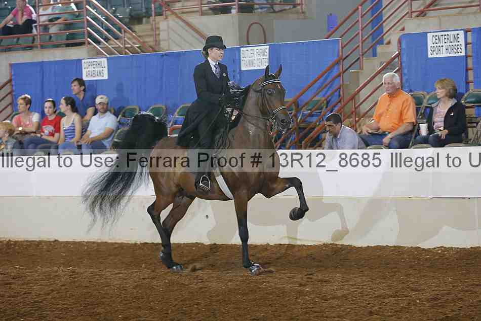 Proof Number 13r12_8685