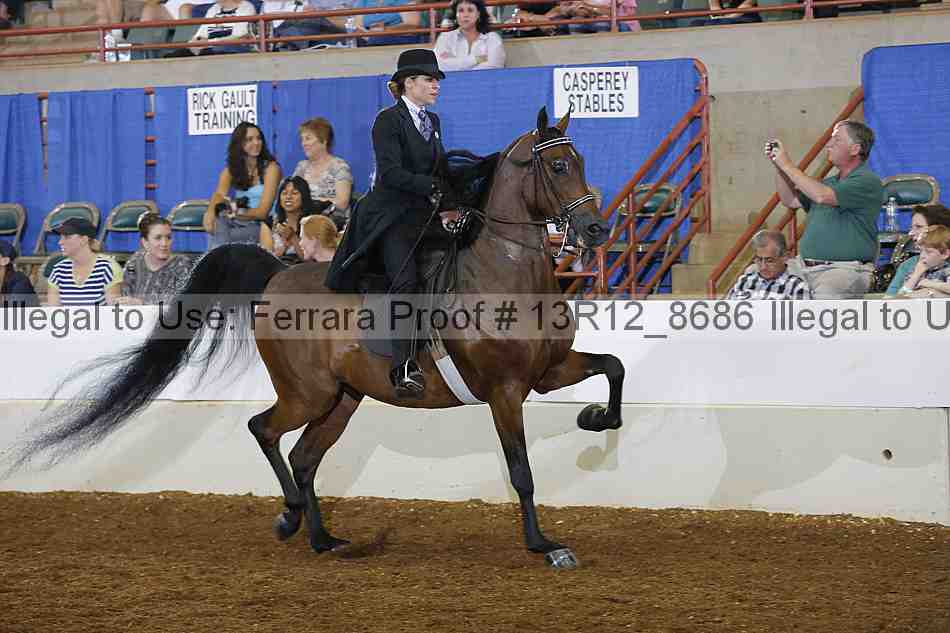 Proof Number 13r12_8686