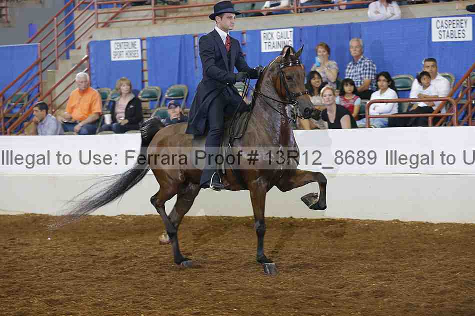 Proof Number 13r12_8689