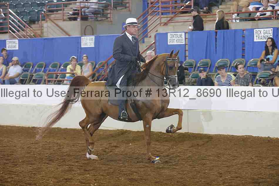Proof Number 13r12_8690