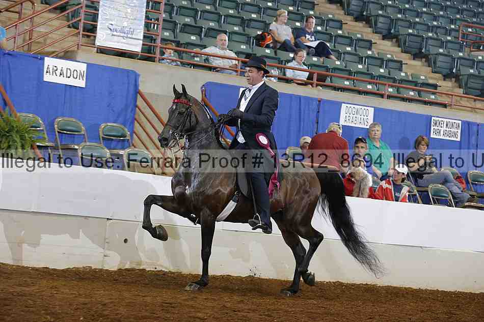 Proof Number 13r12_8694