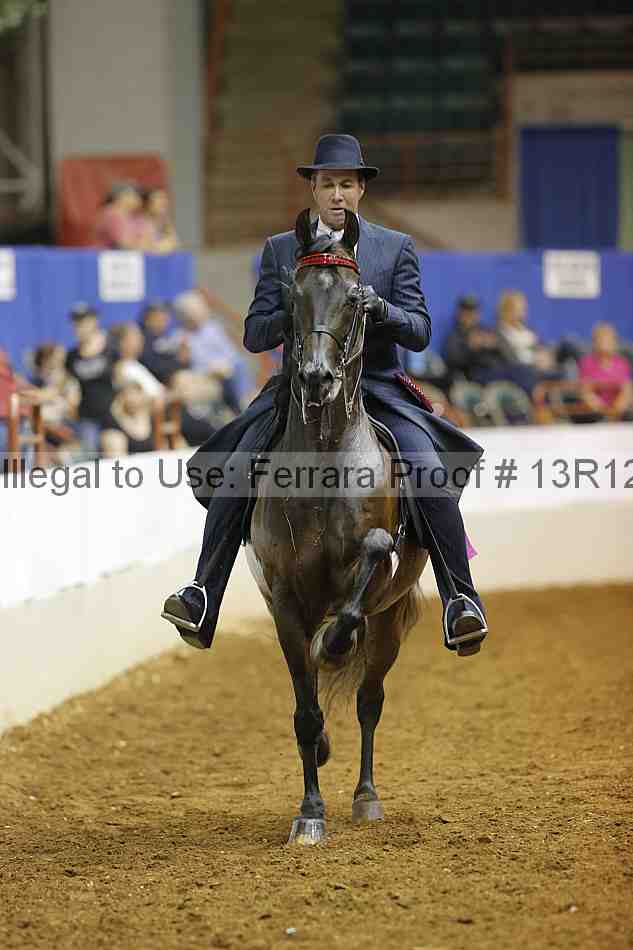 Proof Number 13r12_8697