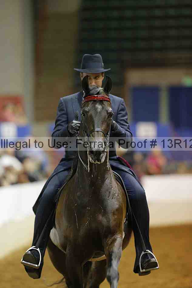Proof Number 13r12_8699