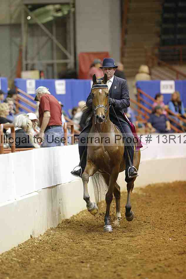 Proof Number 13r12_8702