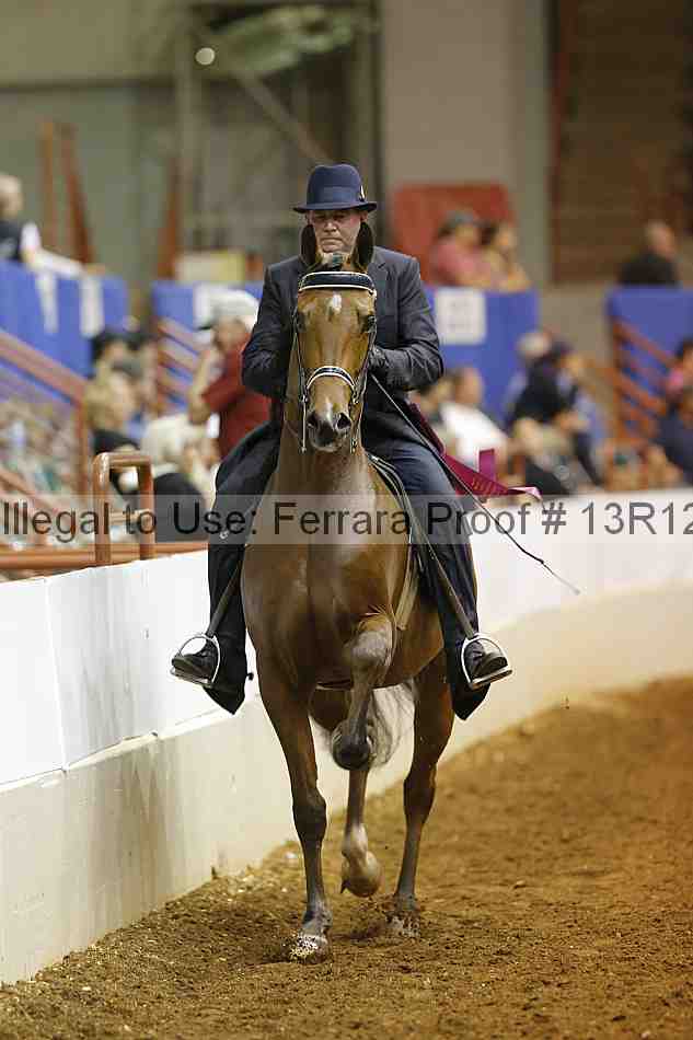 Proof Number 13r12_8703