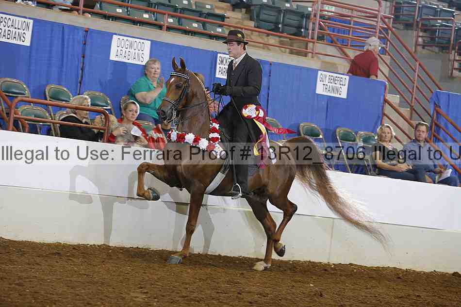 Proof Number 13r12_8706