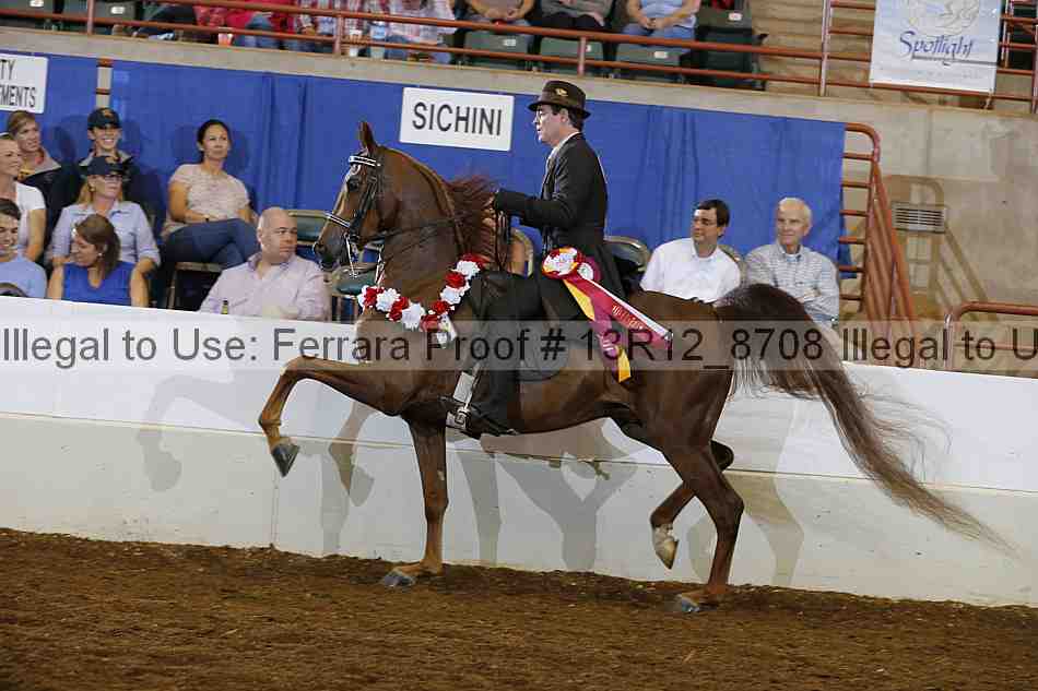 Proof Number 13r12_8708