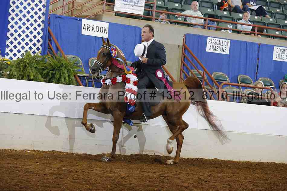 Proof Number 13r12_8710