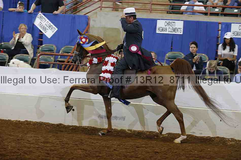 Proof Number 13r12_8711