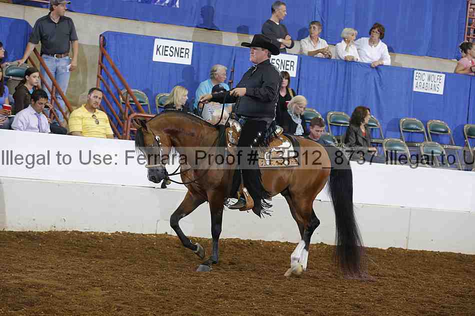 Proof Number 13r12_8737