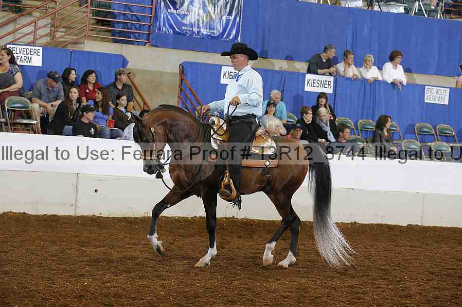 Proof Number 13r12_8744
