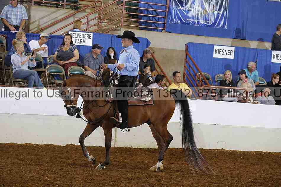 Proof Number 13r12_8754