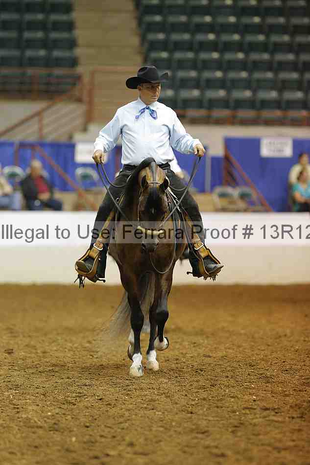 Proof Number 13r12_8758
