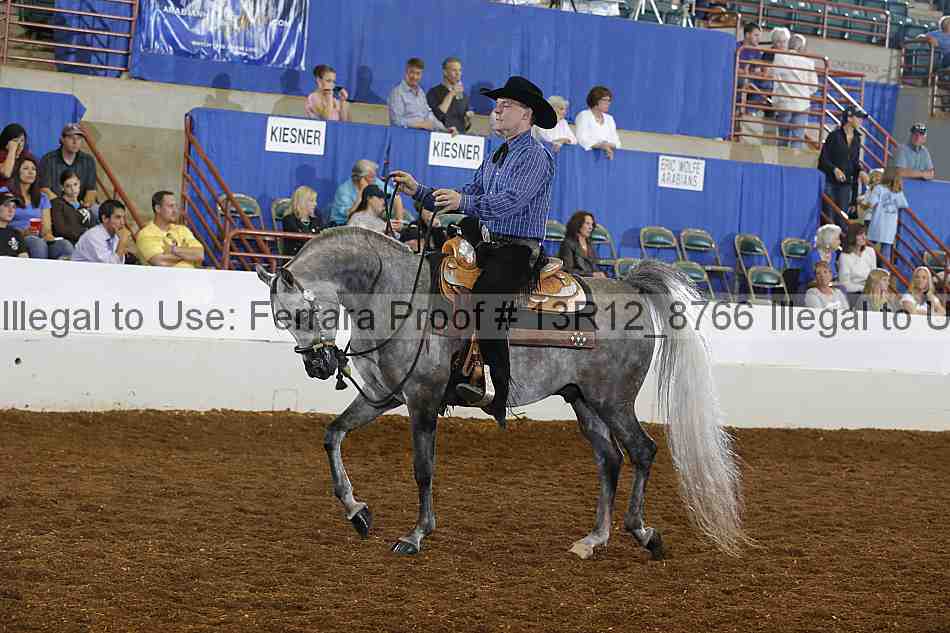 Proof Number 13r12_8766