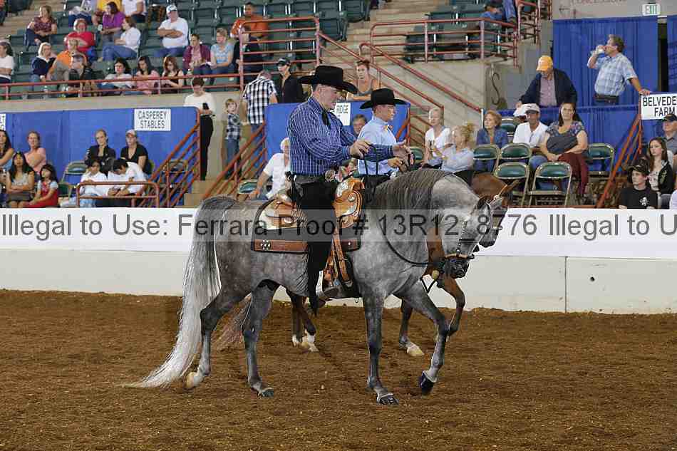 Proof Number 13r12_8776