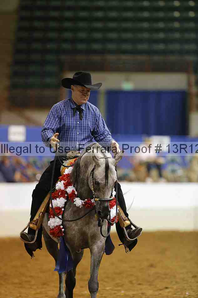 Proof Number 13r12_8784