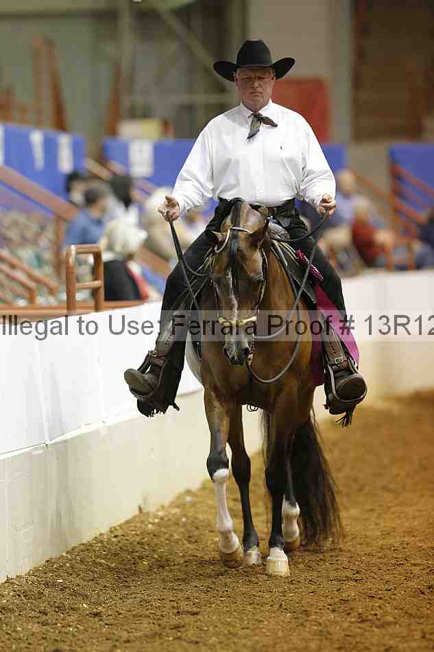 Proof Number 13r12_8793