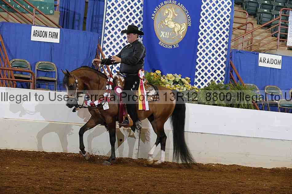 Proof Number 13r12_8800