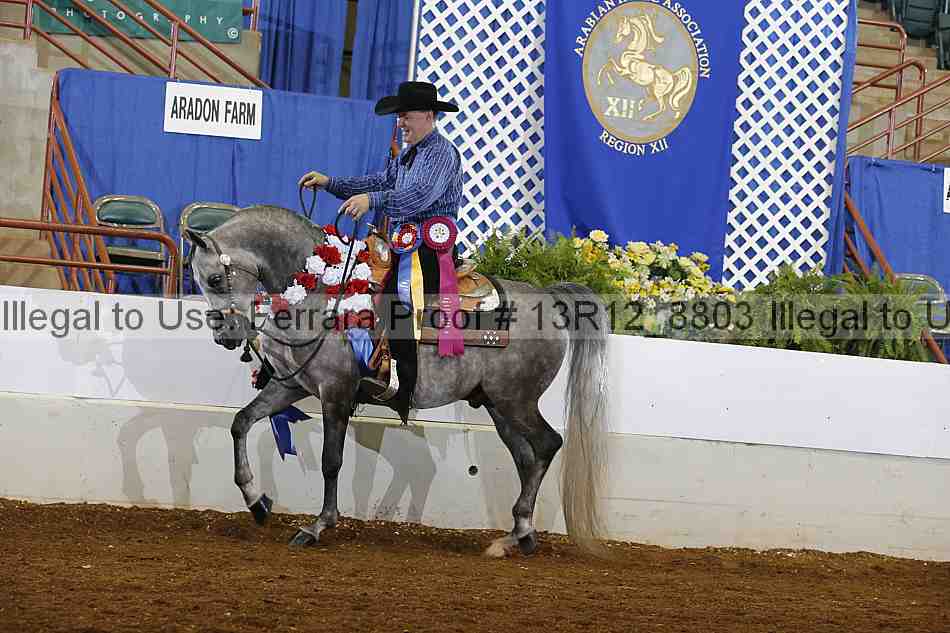 Proof Number 13r12_8803