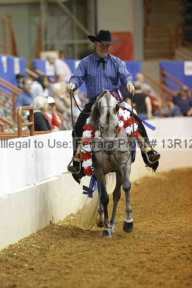 Proof Number 13r12_8805