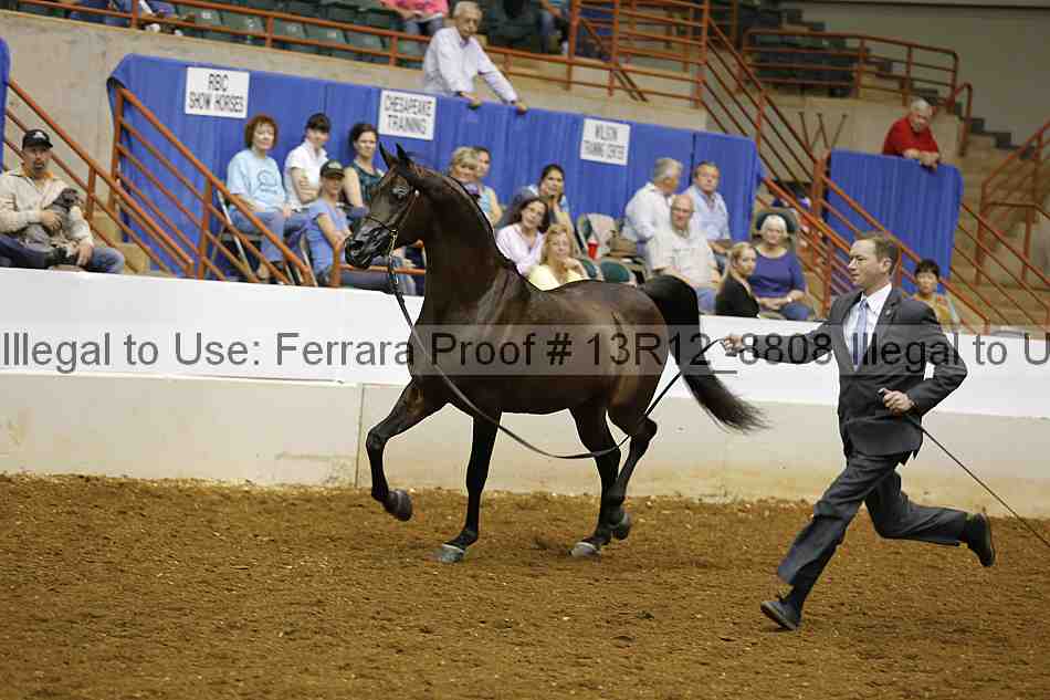 Proof Number 13r12_8808