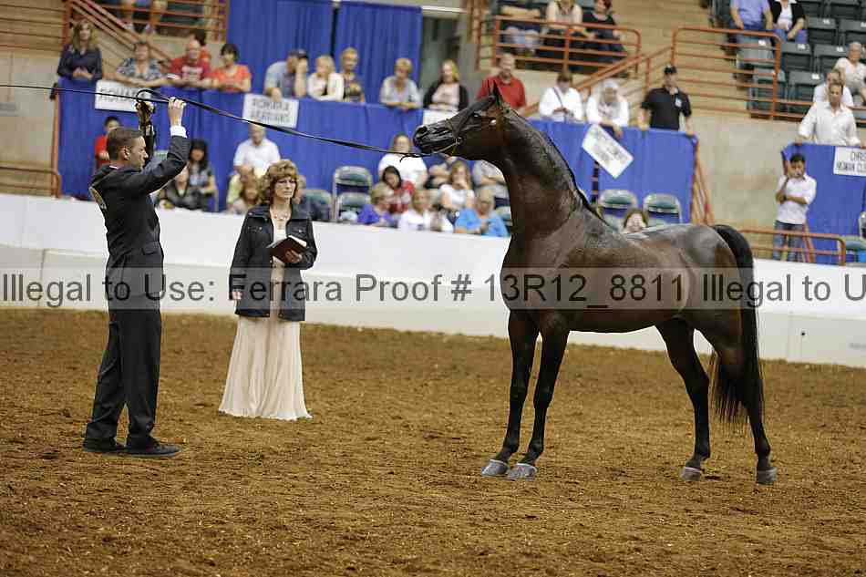 Proof Number 13r12_8811