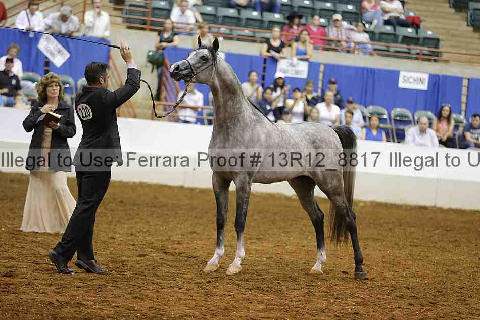 Proof Number 13r12_8817