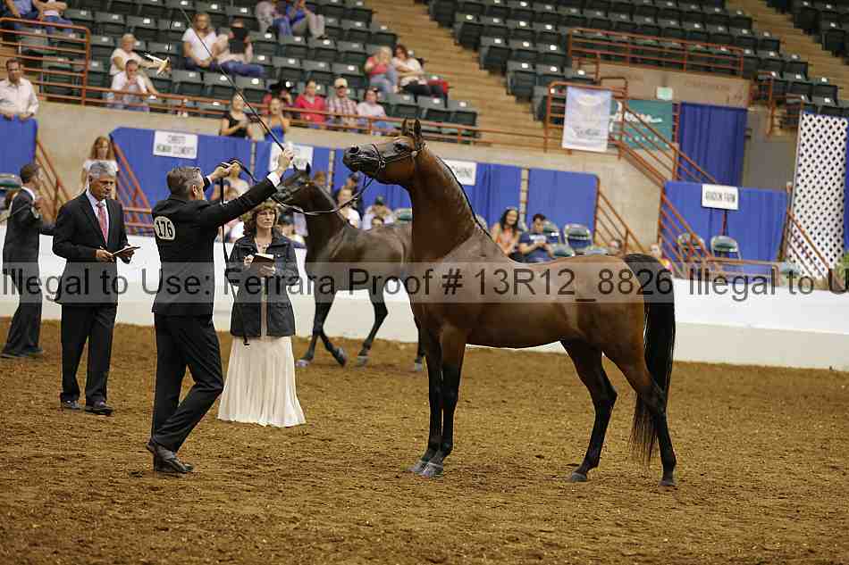 Proof Number 13r12_8826