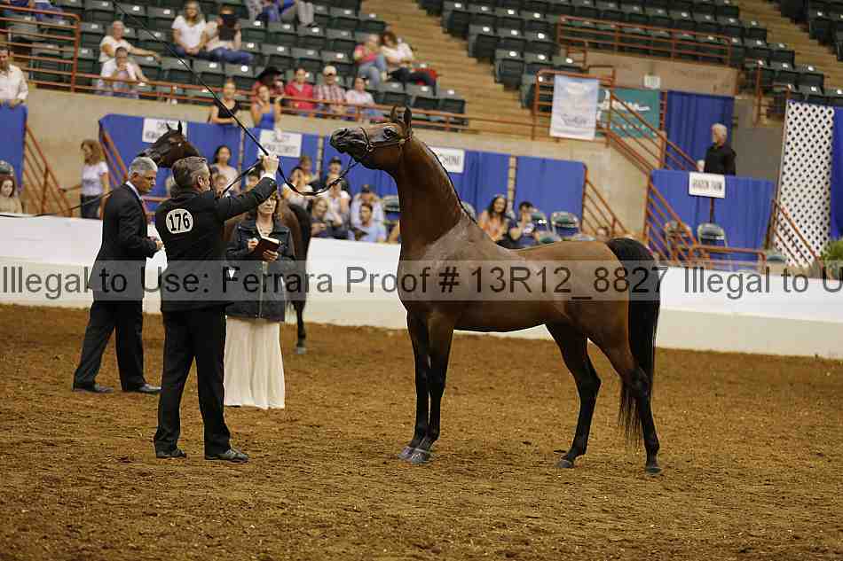 Proof Number 13r12_8827