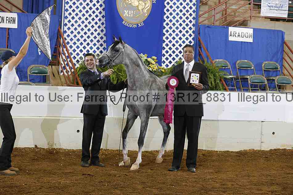 Proof Number 13r12_8831