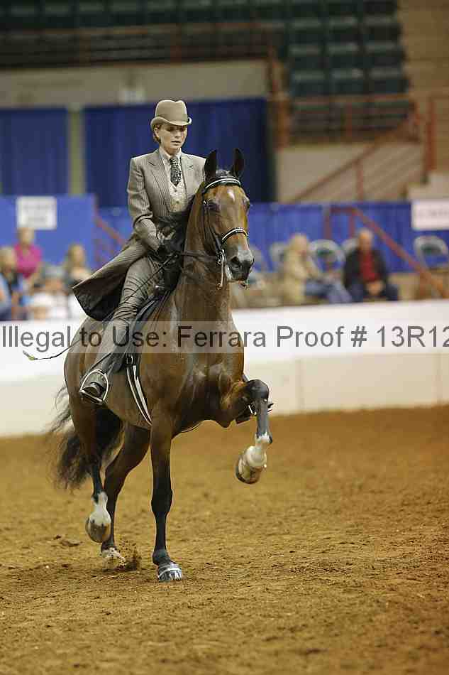 Proof Number 13r12_8849