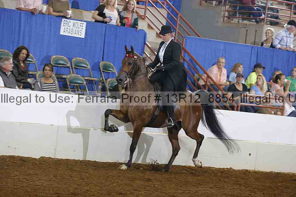Proof Number 13r12_8854