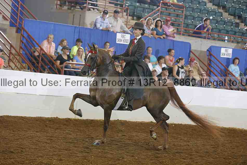 Proof Number 13r12_8860