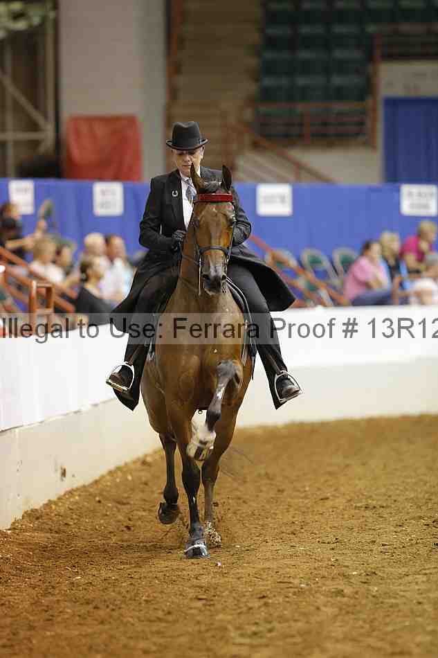 Proof Number 13r12_8862
