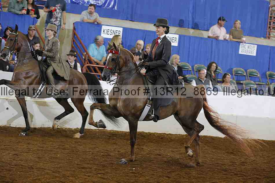 Proof Number 13r12_8869