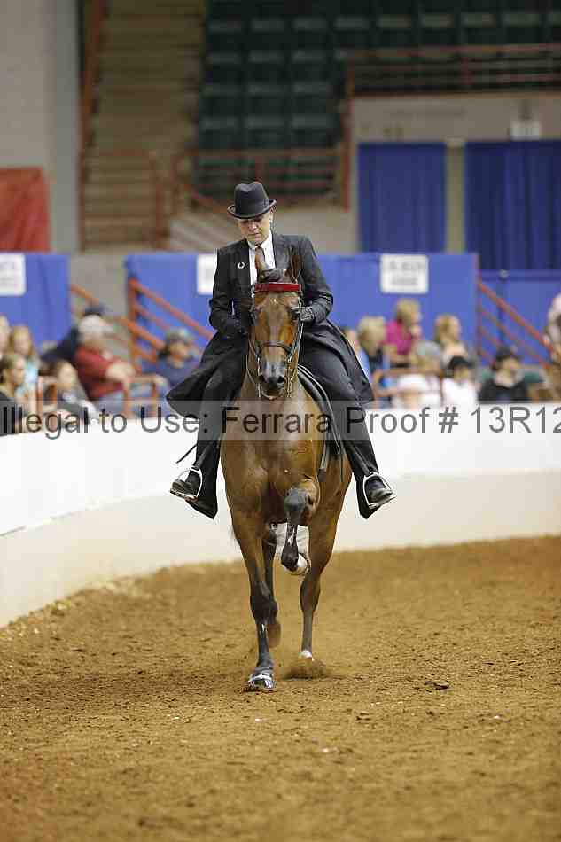 Proof Number 13r12_8871