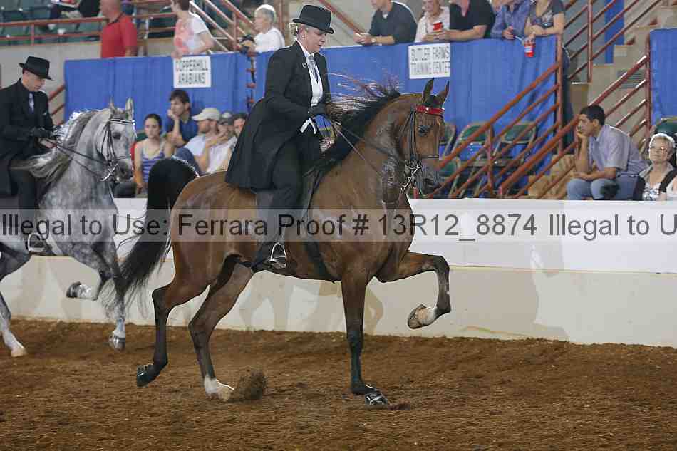 Proof Number 13r12_8874