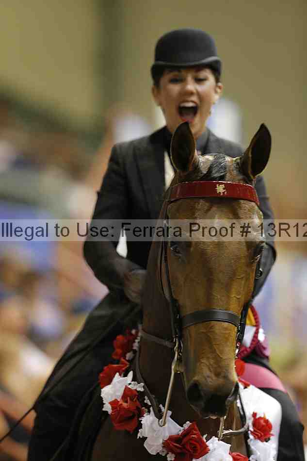 Proof Number 13r12_8892
