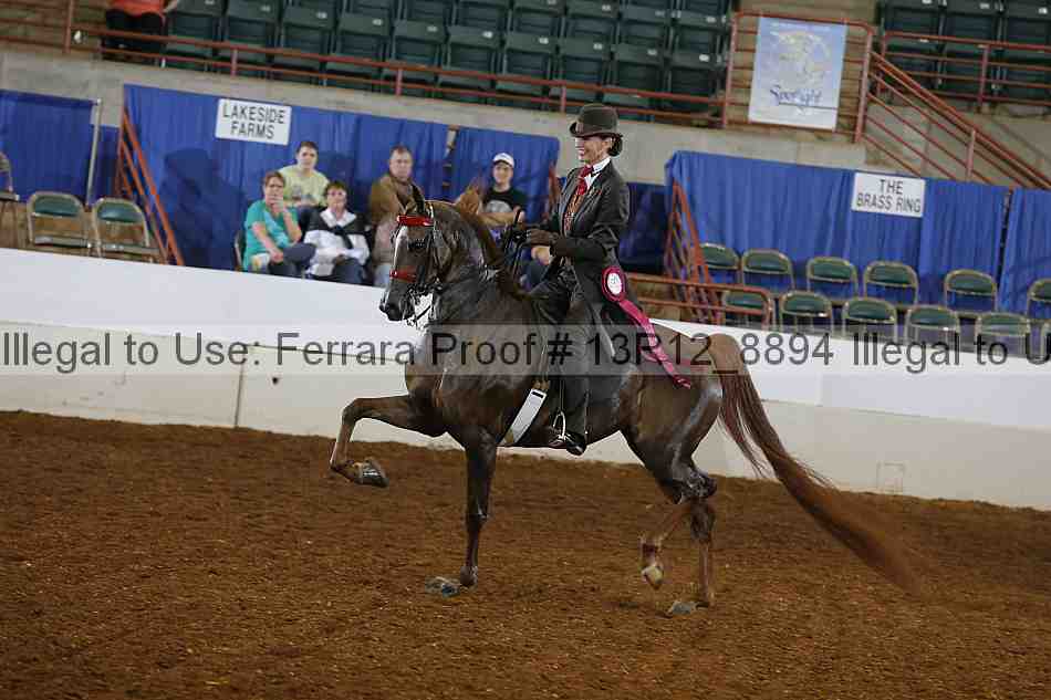 Proof Number 13r12_8894