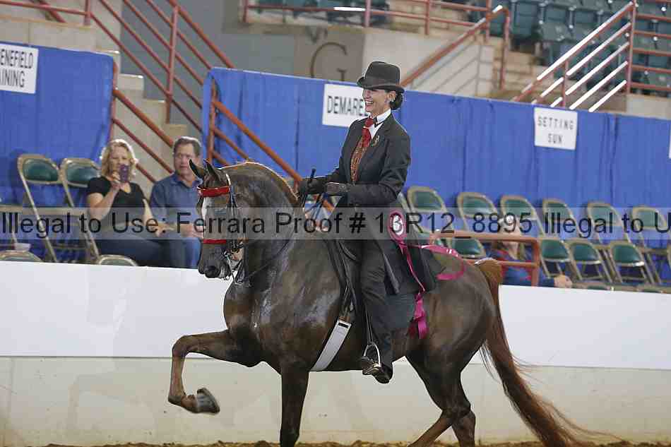 Proof Number 13r12_8895