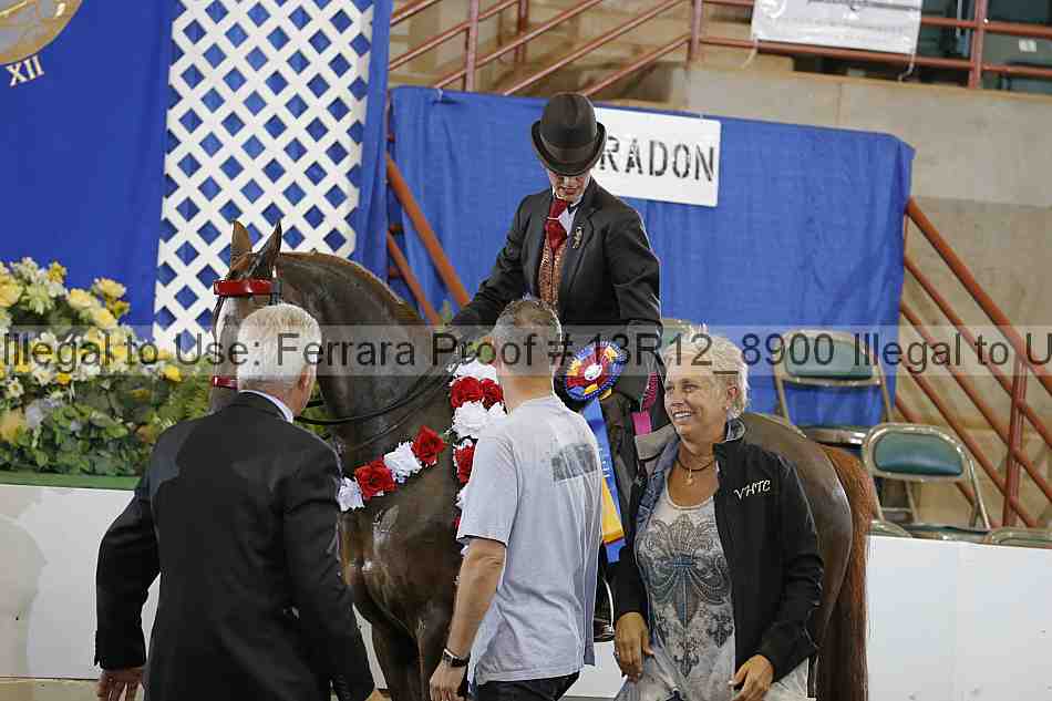 Proof Number 13r12_8900