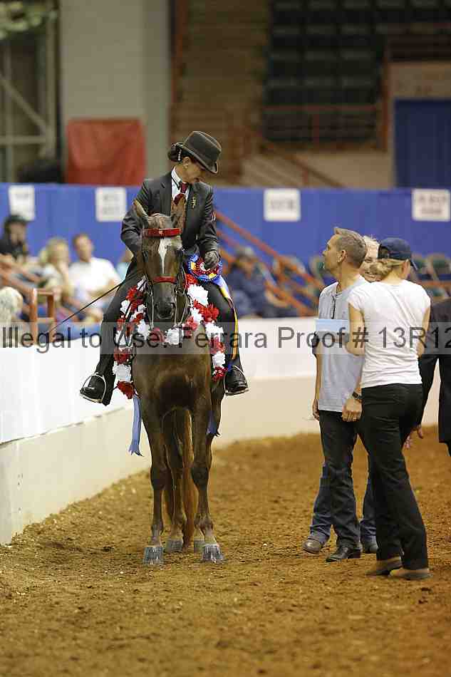 Proof Number 13r12_8903