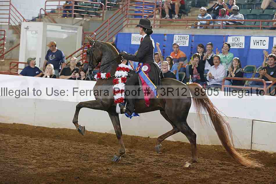 Proof Number 13r12_8905