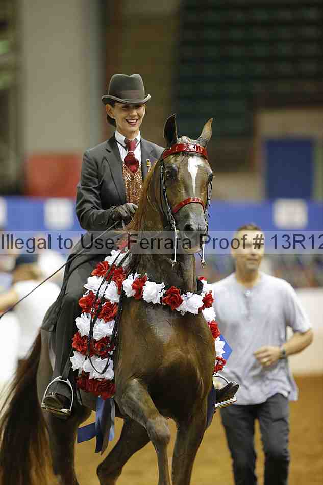 Proof Number 13r12_8906