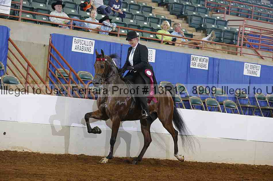 Proof Number 13r12_8909